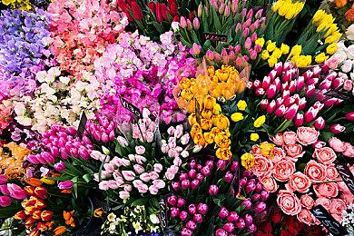 《2077：往日之影》是CDPR预算最大的DLC 弥补本体的不足